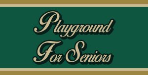 Playground For Seniors Website Thumbnail